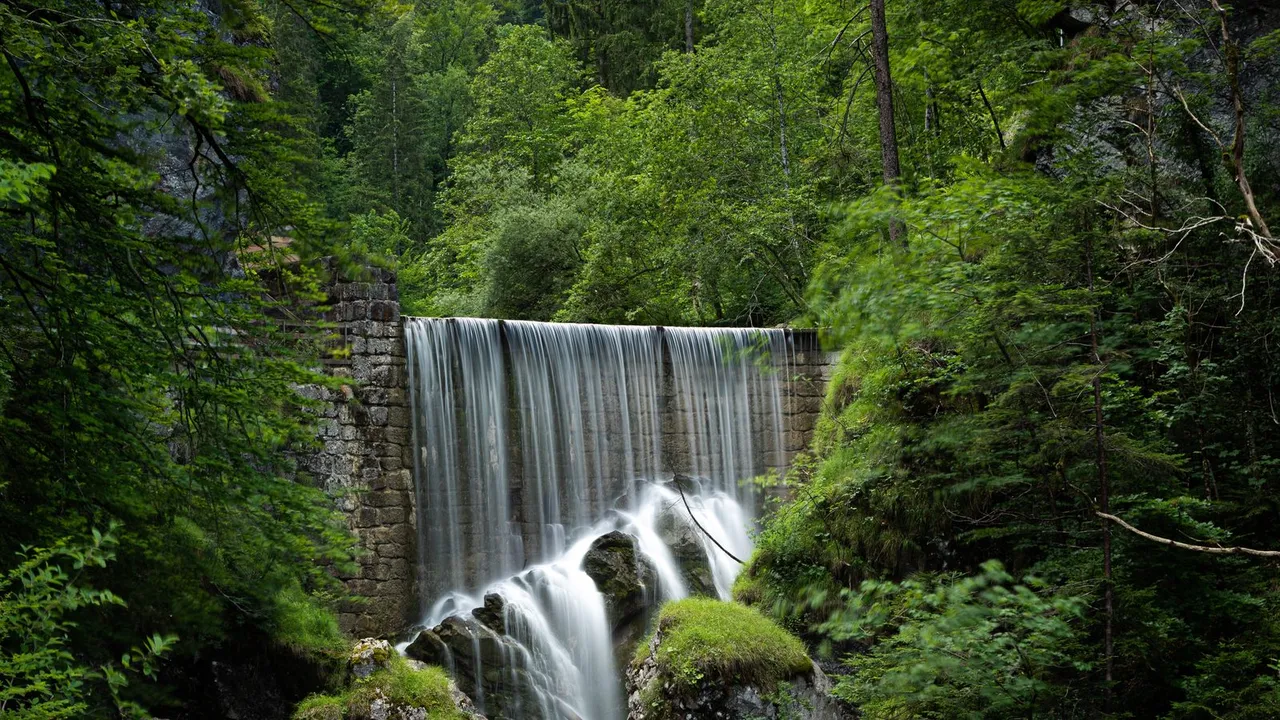 Cachoeira cercada por vegetação verde na mata